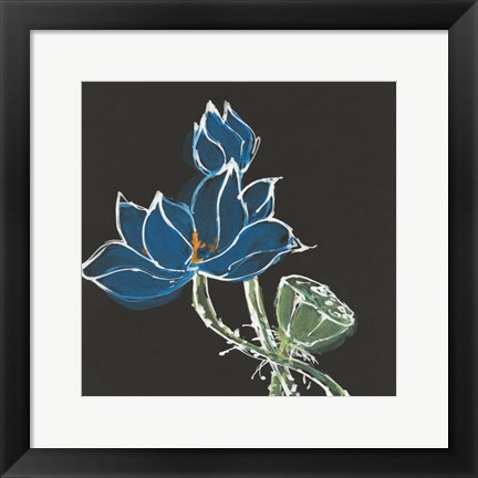 Framed Lotus on Black VII Print