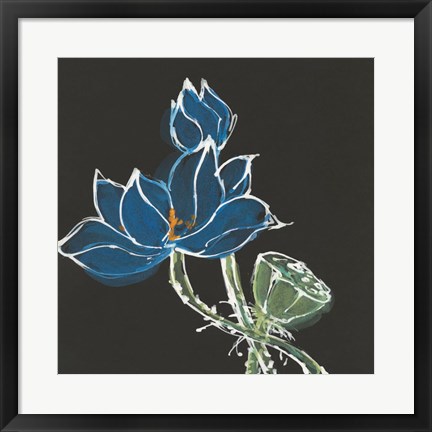 Framed Lotus on Black VII Print