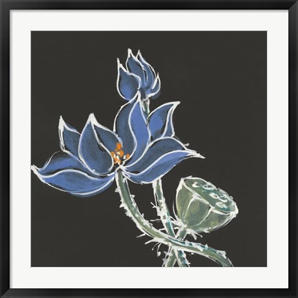 Framed Lotus on Black VI Print