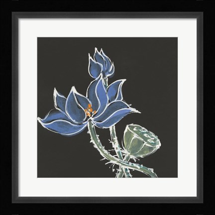 Framed Lotus on Black VI Print