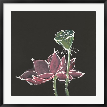 Framed Lotus on Black III Print