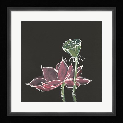 Framed Lotus on Black III Print