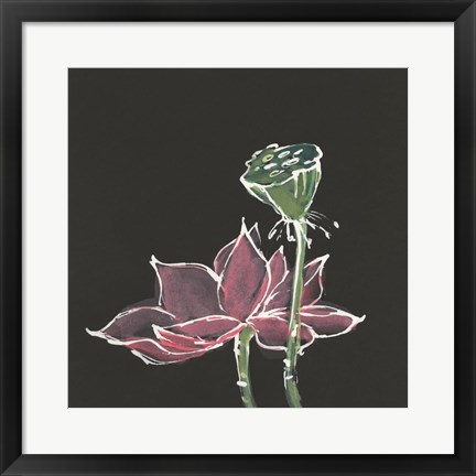 Framed Lotus on Black III Print