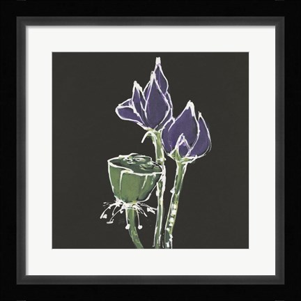 Framed Lotus on Black II Print