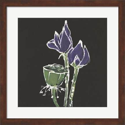 Framed Lotus on Black II Print