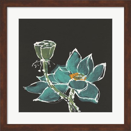 Framed Lotus on Black I Print