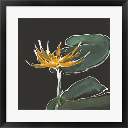 Framed Lily on Black I Print