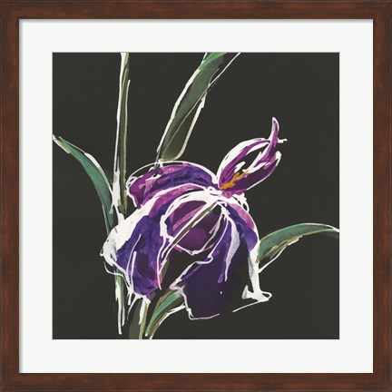 Framed Iris on Black III Print