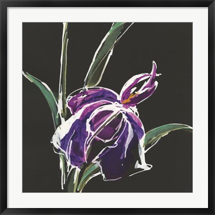 Framed Iris on Black III Print