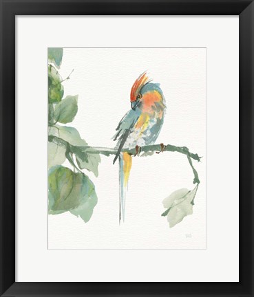 Framed Crested Cockatoo v2 Print