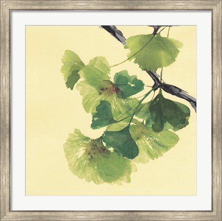 Framed Gingko Leaves II Dark Print