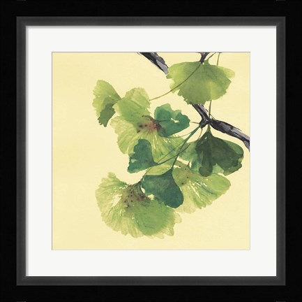 Framed Gingko Leaves II Dark Print