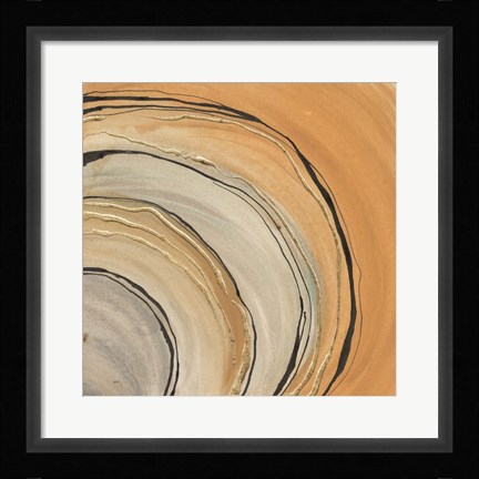Framed Gilded Rings Print