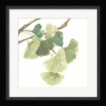 Framed Gingko Leaves I on White Print