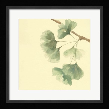 Framed Gingko Leaves III Print