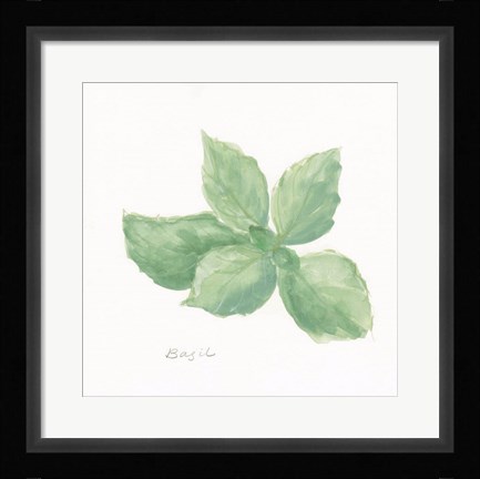 Framed Basil Print