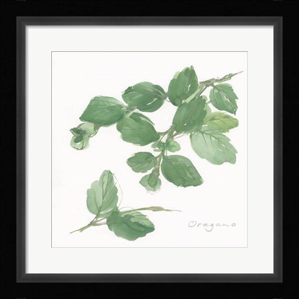 Framed Oregano Print