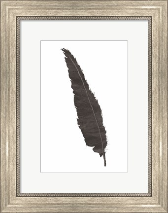 Framed Black Feather VI Print