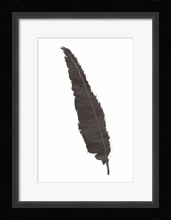 Framed Black Feather VI Print