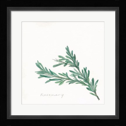 Framed Rosemary II Print