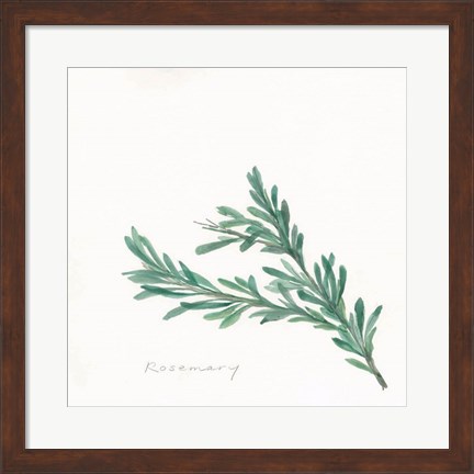 Framed Rosemary II Print