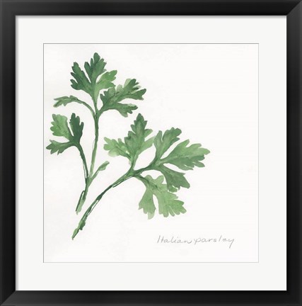 Framed Italian Parsley II Print