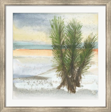 Framed Desert Yucca Cool Print