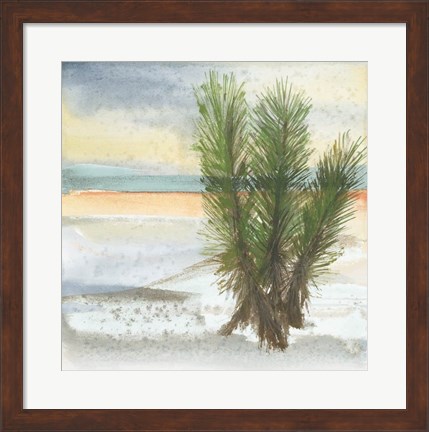 Framed Desert Yucca Cool Print