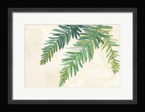 Framed Ferns Square I on Cream Print