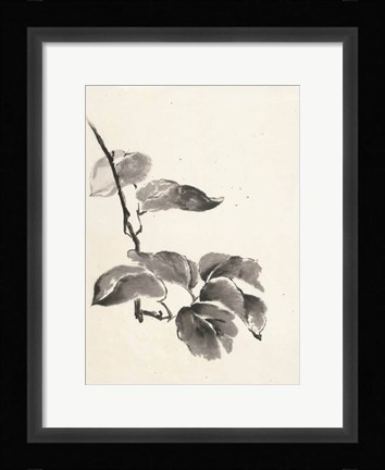 Framed Sumi Kiwi Cream Print