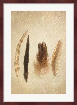Framed Feathers I Print