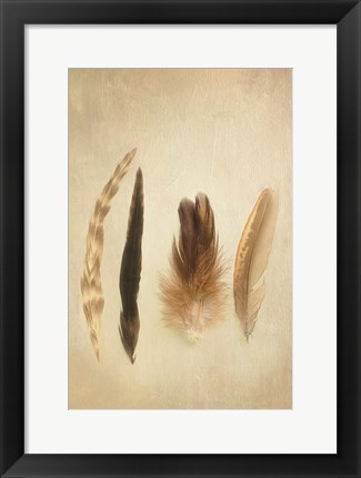 Framed Feathers I Print