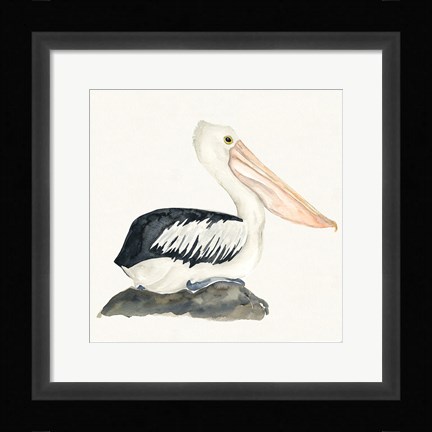 Framed Tropical Fun Bird II Print