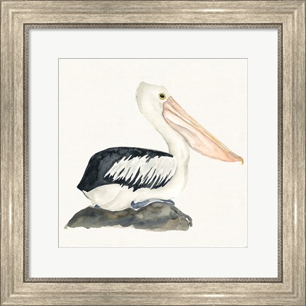 Framed Tropical Fun Bird II Print