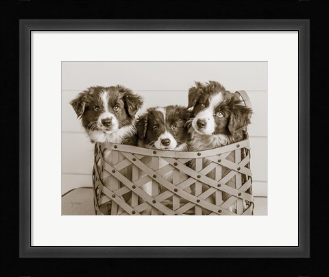 Framed What a Cute Bundle Print