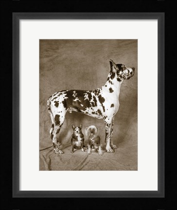 Framed Cover Up Print