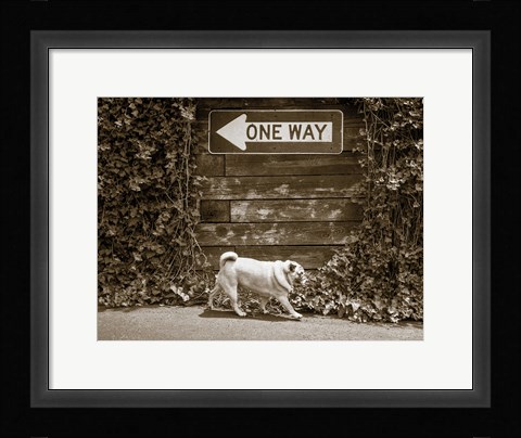 Framed Which Way Print