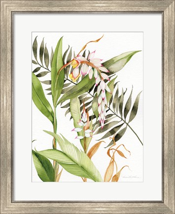 Framed Botanical Shell Ginger Print