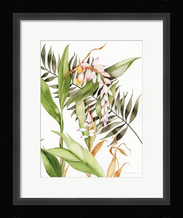 Framed Botanical Shell Ginger Print