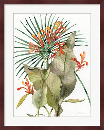 Framed Botanical Flame Lilies Print