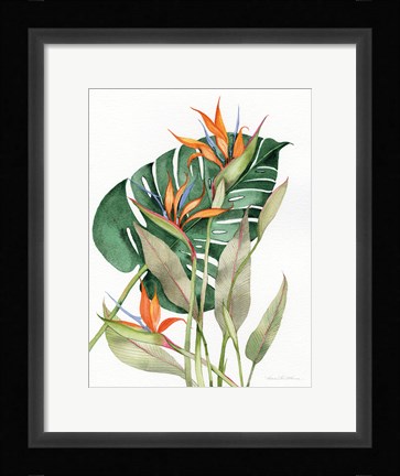 Framed Botanical Birds of Paradise Print