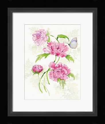 Framed Floral Delight III Butterflies Print