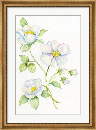 Framed Floral Delight V Print