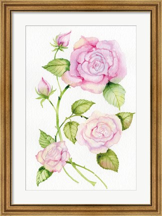 Framed Floral Delight IV Print