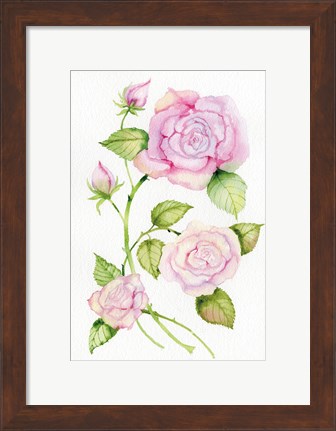 Framed Floral Delight IV Print