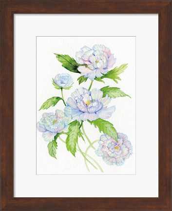 Framed Floral Delight II Print