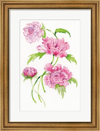 Framed Floral Delight III Print