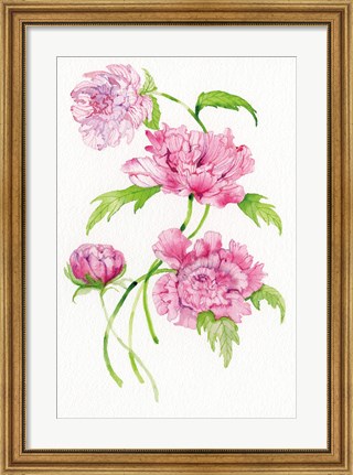 Framed Floral Delight III Print