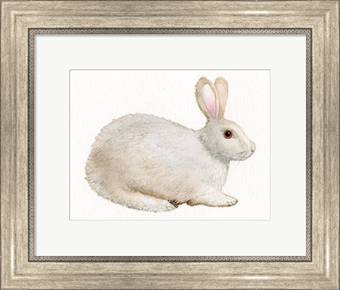 Framed Spring Bunny IV White Print
