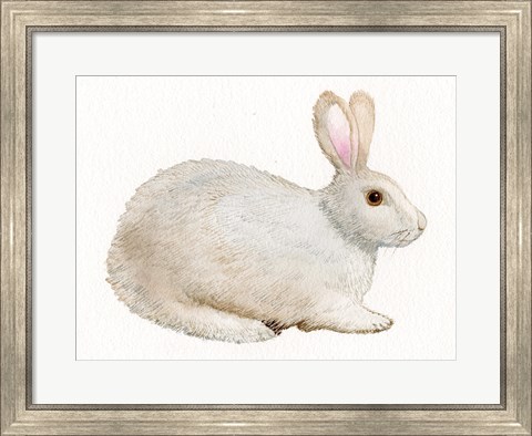 Framed Spring Bunny IV White Print